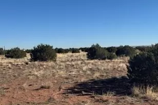 955 W 33rd S Pl S, Saint Johns, AZ 85936 - Photo 29