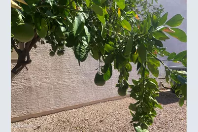 2101 S Meridian Road #431, Apache Junction, AZ 85120 - Photo 23