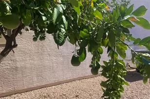 2101 S Meridian Rd, Apache Junction, AZ 85120 - Photo 23