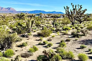 440 470 & 510 Ashley Dr --, Meadview, AZ 86444 - Photo 1