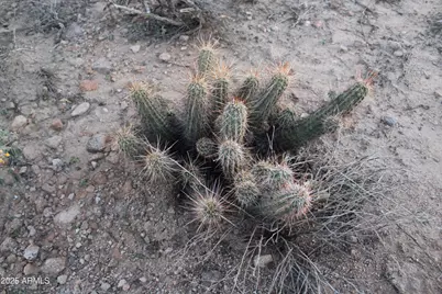 4905 N Delaware Drive #100-11-032D, Apache Junction, AZ 85120 - Photo 31