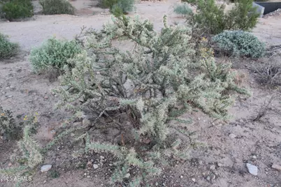 4905 N Delaware Drive #100-11-032D, Apache Junction, AZ 85120 - Photo 25