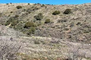 1076 E Horseshoe Springs Rd, Globe, AZ 85501 - Photo 7