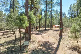 1103 E Ranch Rd, Payson, AZ 85541 - Photo 11