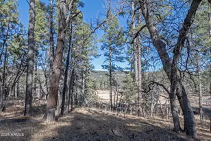 1103 E Ranch Rd, Payson, AZ 85541 - Photo 63