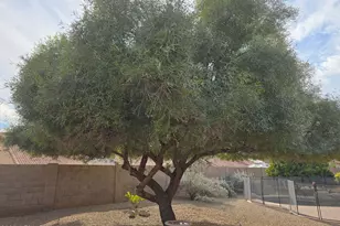 3815 W Charlotte Dr, Glendale, AZ 85310 - Photo 9