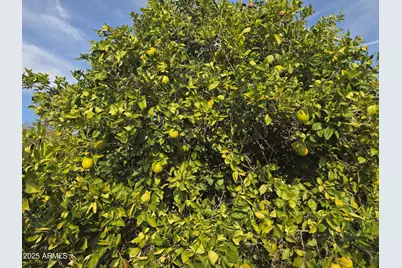 3815 W Charlotte Drive, Glendale, AZ 85310 - Photo 13