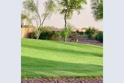 8323 E Sunset View Drive #36, Gold Canyon, AZ 85118 - Photo 49