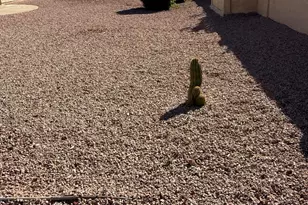 19890 N 85 Dr Dr, Peoria, AZ 85382 - Photo 3