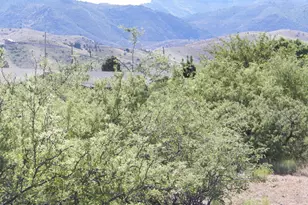 571 N Skyline Blvd, Clarkdale, AZ 86324 - Photo 1