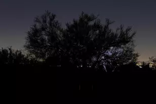 39330 N 107th Way, Scottsdale, AZ 85262 - Photo 47