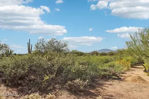 39330 N 107th Way, Scottsdale, AZ 85262 - Photo 45