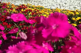 4290 N Presidio Dr, Florence, AZ 85132 - Photo 47