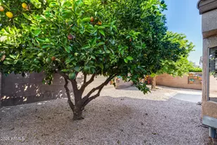 16178 W Montoya Dr, Surprise, AZ 85374 - Photo 33