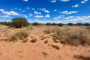 4577 Pinto Rd, Snowflake, AZ 85937 - Photo 1