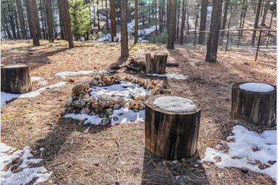 511 Mule Springs Trail, Forest Lakes, AZ 85931 - Photo 39