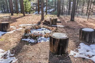 511 Mule Springs Trail, Forest Lakes, AZ 85931 - Photo 39