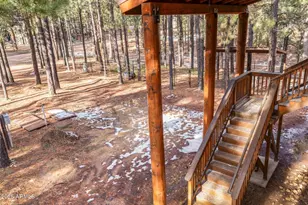 511 Mule Springs Trail, Forest Lakes, AZ 85931 - Photo 9