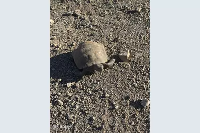 Xx00H S Blue Tank Trail #-, Wickenburg, AZ 85390 - Photo 11