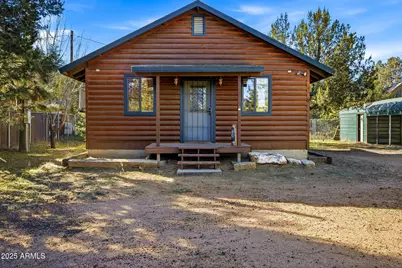 3157 Tonto Drive, Overgaard, AZ 85933 - Photo 3