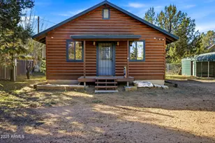 3157 Tonto Dr, Overgaard, AZ 85933 - Photo 3