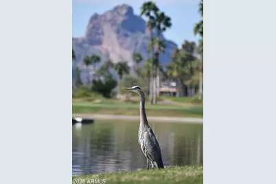 8018 N Via Verde --, Scottsdale, AZ 85258 - Photo 39