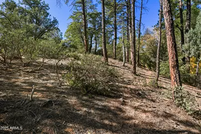 3004 E Game Trail #243, Payson, AZ 85541 - Photo 5