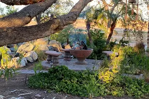 25750 W MC 85, Buckeye, AZ 85326 - Photo 47