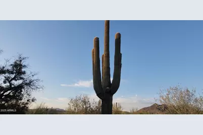 5418 E Yolantha Street, Cave Creek, AZ 85331 - Photo 17