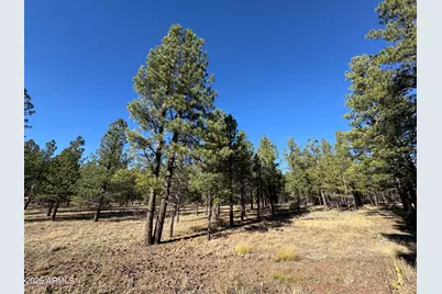 Lot 3L N Quintana Drive #-, Flagstaff, AZ 86001 - Photo 7