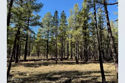 Lot 3L N Quintana Drive #-, Flagstaff, AZ 86001 - Photo 1