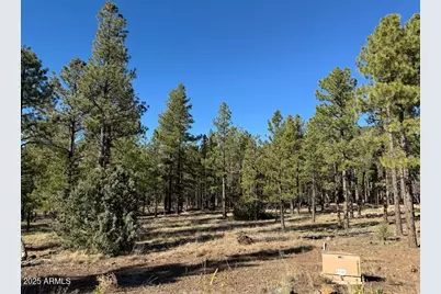 Lot 3L N Quintana Drive #-, Flagstaff, AZ 86001 - Photo 3