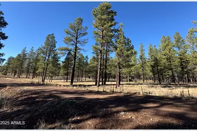 Lot 3L N Quintana Drive #-, Flagstaff, AZ 86001 - Photo 5