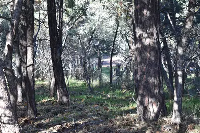 3829 N Pine Road N, Pine, AZ 85544 - Photo 23