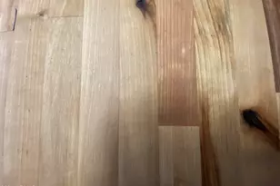 2323 W Pomo Ave, Apache Junction, AZ 85119 - Photo 7