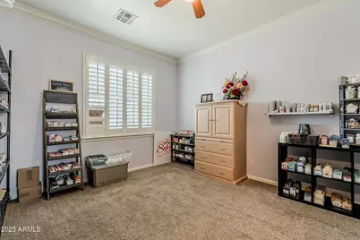 311 E Frances Lane, Gilbert, AZ 85295 - Photo 47