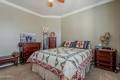 311 E Frances Lane, Gilbert, AZ 85295 - Photo 53