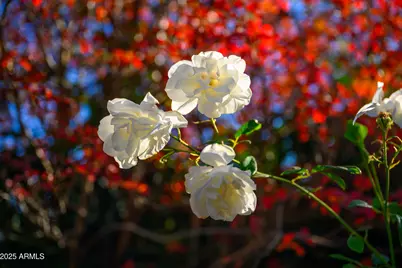 49 Prochnow Road, Sedona, AZ 86336 - Photo 39