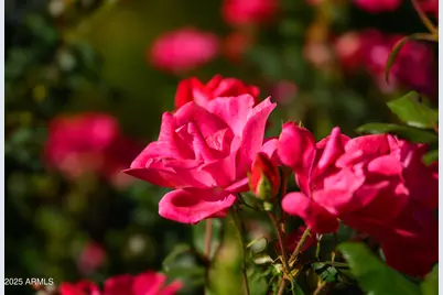 49 Prochnow Road, Sedona, AZ 86336 - Photo 41