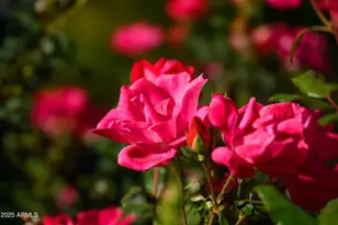 49 Prochnow Rd, Sedona, AZ 86336 - Photo 41