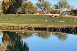 6900 E Ironwood Dr, Paradise Valley, AZ 85253 - Photo 85