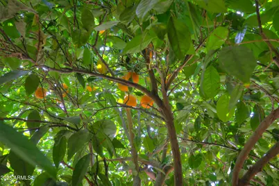 30 S Mesilla Lane, Casa Grande, AZ 85194 - Photo 41