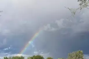 17958 E Cindercone Rd, Rio Verde, AZ 85263 - Photo 43