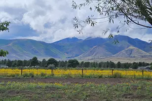 12580 John Wayne Blvd, Flagstaff, AZ 86004 - Photo 47