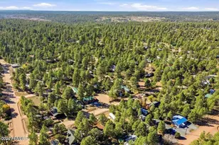 2880 Paint Pony Ln, Overgaard, AZ 85933 - Photo 35