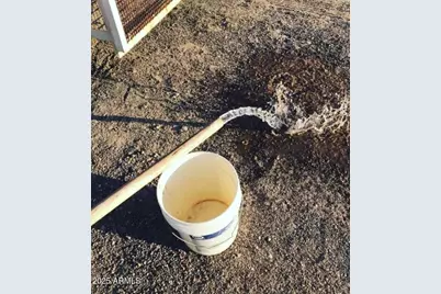 39003 Avenue 41 East -- E #-, Salome, AZ 85348 - Photo 17