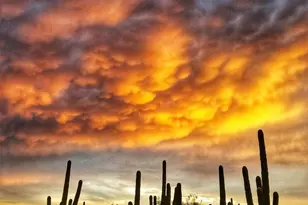 5607 N 193rd Ave, Litchfield Park, AZ 85340 - Photo 27