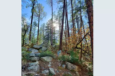 7139 E Vernon Martin Drive, Crown King, AZ 86343 - Photo 69