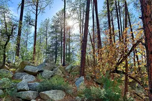 7139 E Vernon Martin Dr, Crown King, AZ 86343 - Photo 69