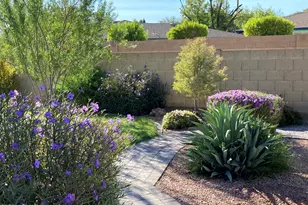 1019 E Watson Dr, Tempe, AZ 85283 - Photo 9